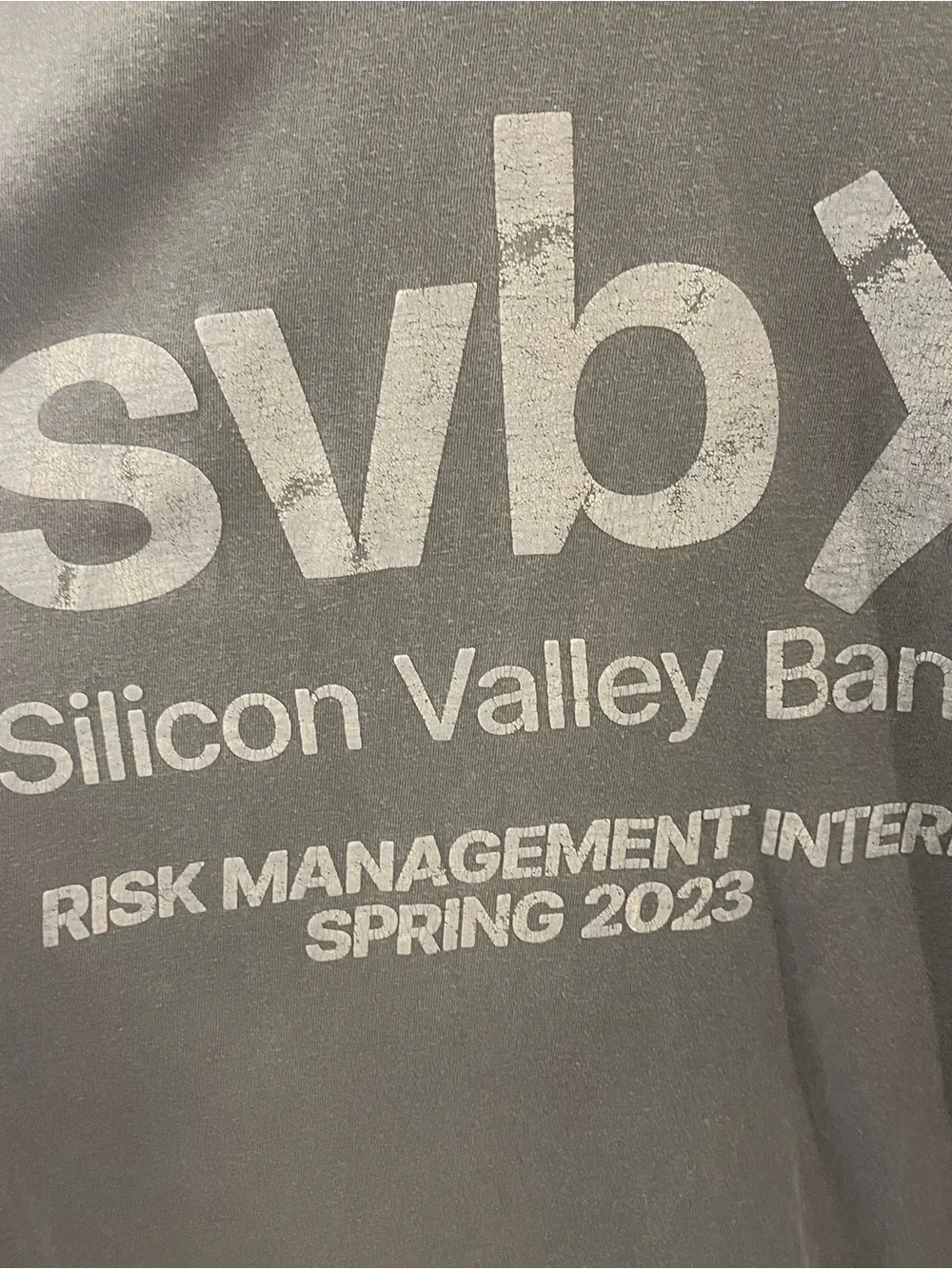 Gray Silicon Valley Bank Risk Management Intern Spring 2023 T-shirt